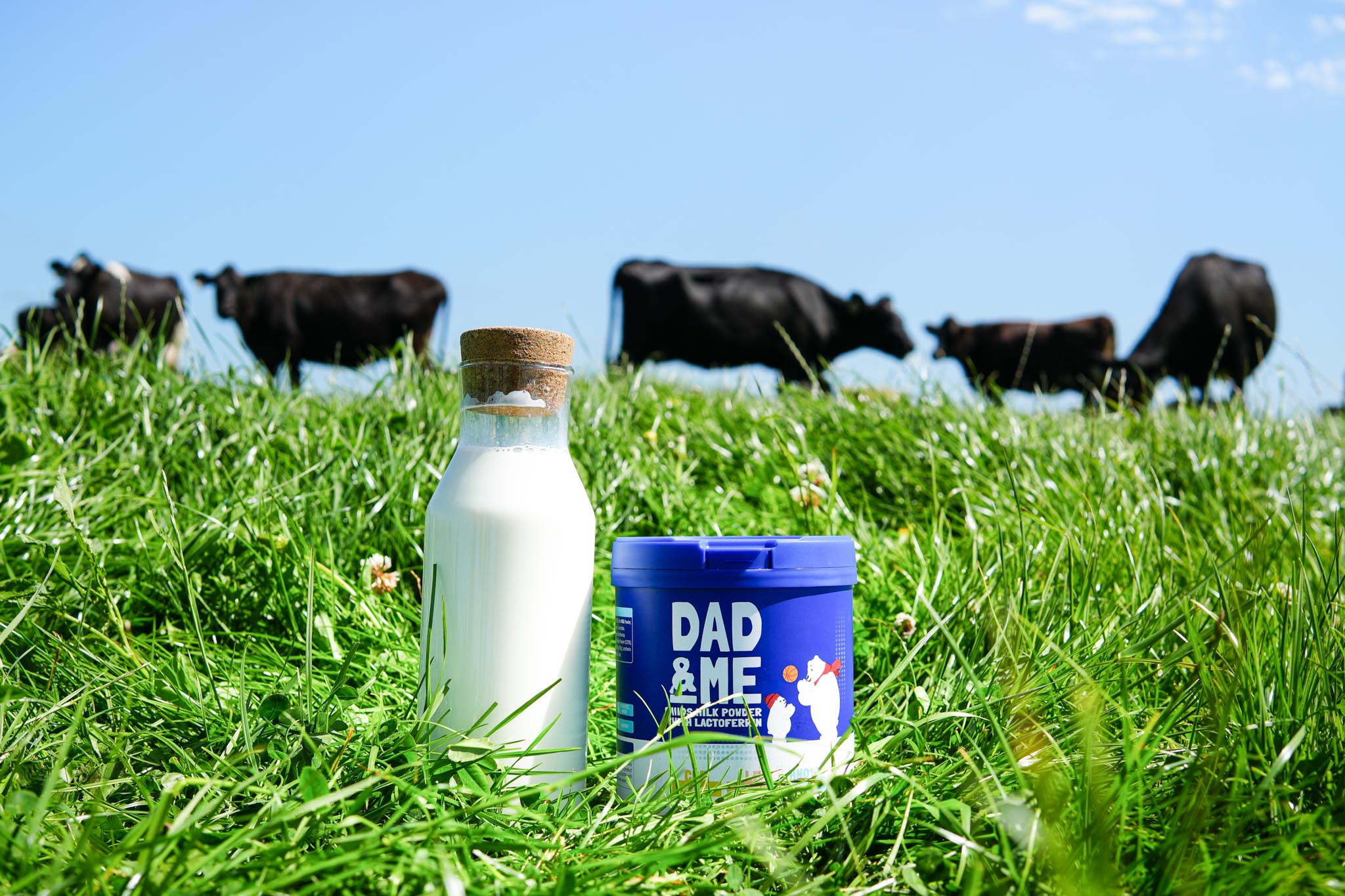 Selected work image 21