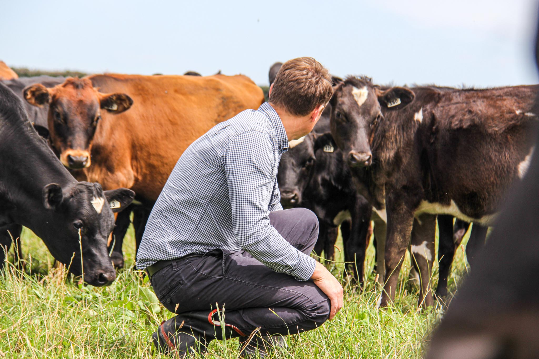 Selected work image 12